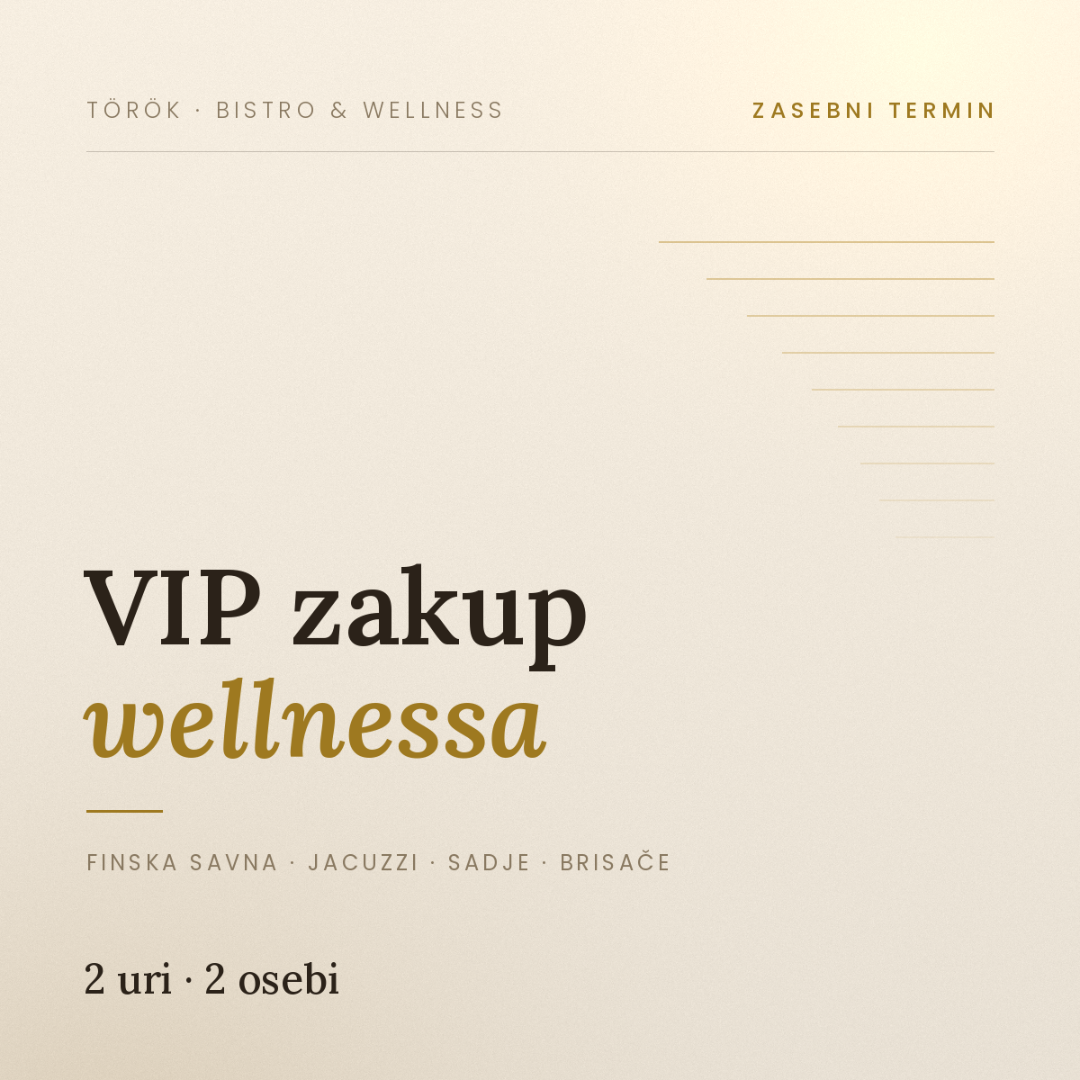DARILNI BON - V.I.P. ZAKUP WELLNESS PROSTORA 2 URI/2 OSEBI